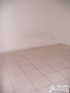 3545.jpg