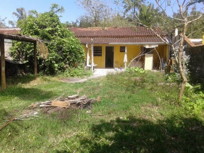 11545.jpg