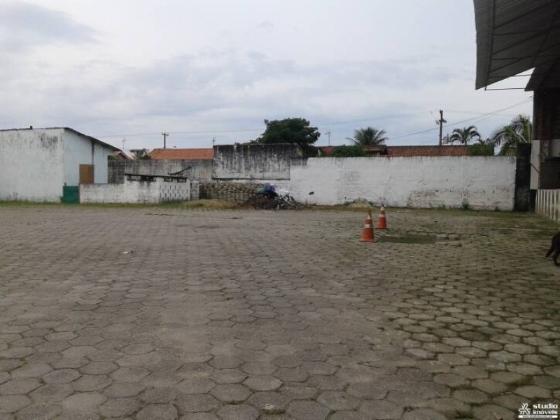 9130.jpg