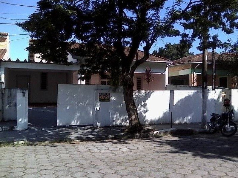 12166.jpg